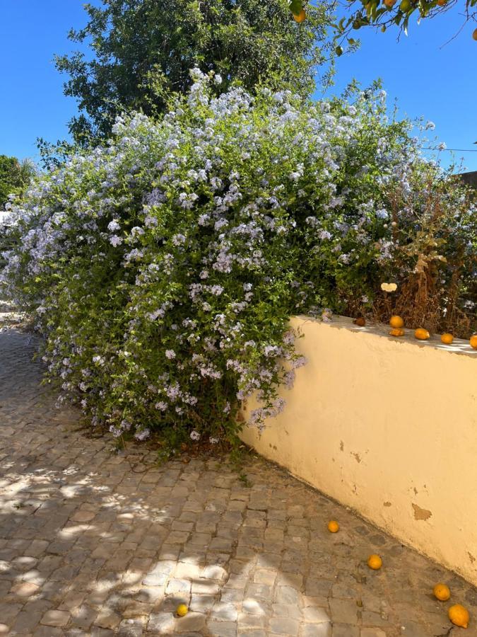 Quinta Da Layla Villa Olhao Ngoại thất bức ảnh